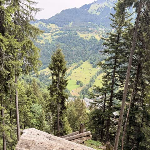 A forested mountain valley